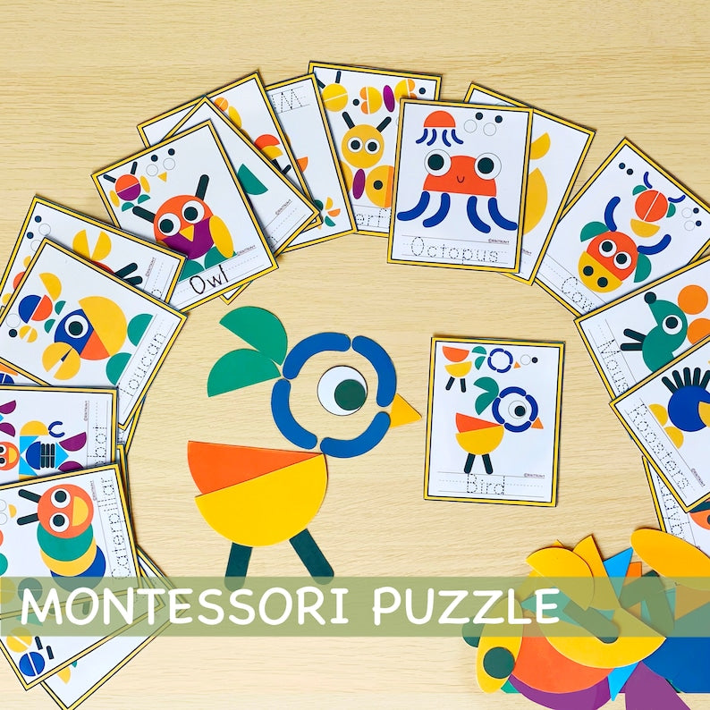 Puzzle  Montessori Blocs de motifs vs cartes visuelles